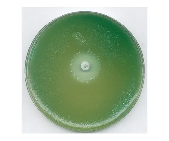 61-0199-17　［Discontinued］Muller Hinton Agar Medium for Antibiotic Sensitivity Test Of Clinically Important Pathogens 105437 500G　1.05437.0500