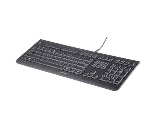 63-6971-53　Cherry Wired Black USB Keyboard, QWERTY　JK-0800EU-0