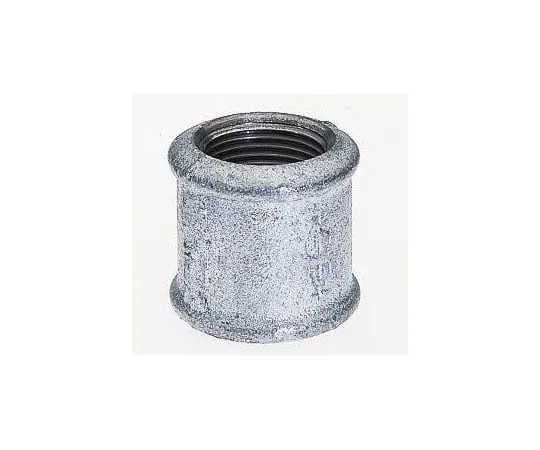 63-7322-33　Georg Fischer Malleable Iron Fitting Socket, 1 in BSPP Female (Connection 1), 1 in BSPP Female (Connection 2)　770270206