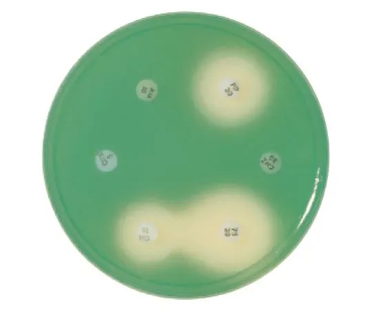 63-6527-33　BD BBL (TM) Mueller Hinton II Agar Medium 20 Sheets　251177
