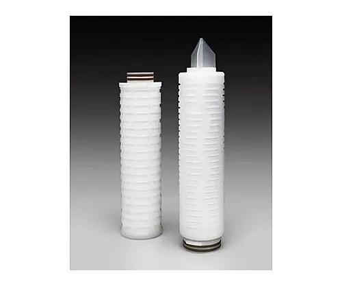 61-0219-47　［Discontinued］Fortis SL Cartridge Filter 0.2μm 20In. Code 7 EPDM, 6/Pk 6 x 1ST　CFGB72E06
