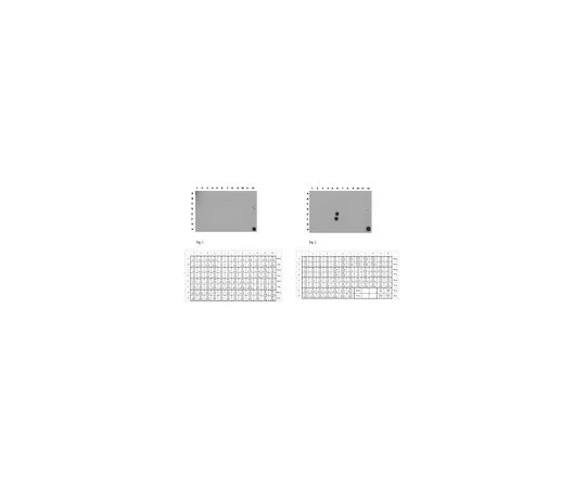 62-8461-13　［Discontinued］Anti-dimethyl Histone H4 Antibody (Arg17) Cat. No. ABE323　ABE323