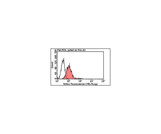 62-8500-97　［Discontinued］Anti-LAMP-2, clone M3/84; 100 μg　MABC24