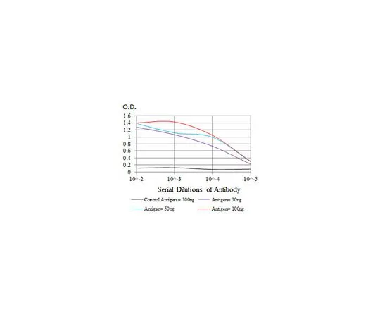 62-8507-01　［Discontinued］Anti-SPI1, clone 5C7 Antibody　MABE632