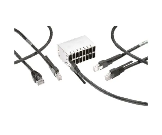 63-6810-74　Cat 5 e Lan cable 250 mm　2159658-1