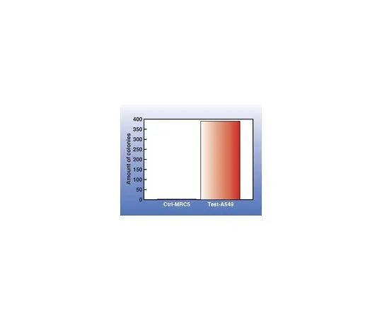 62-8482-05　［Discontinued］Cell Transformation Detection Assay; 1 kit　ECM570