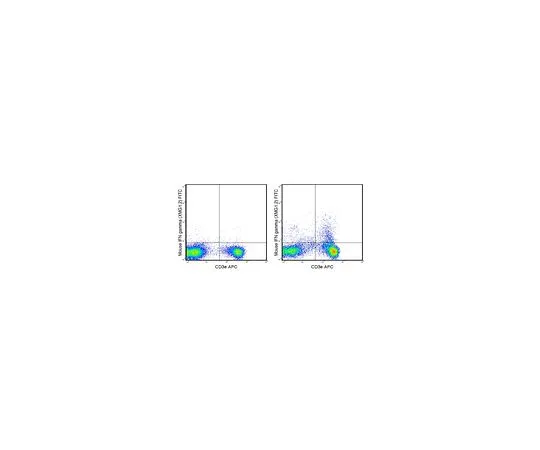 62-8514-38　［Discontinued］Anti-mo*** IFN gamma, FITC, clone XMG1.2 Antibody　MABF1517