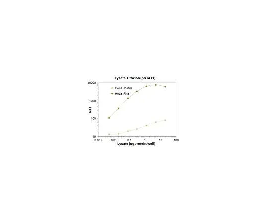 62-8538-24　［Discontinued］MILLIPLEX MAP Phospho STAT1 (Tyr701) Magnetic Bead MAPmate　46-655MAG