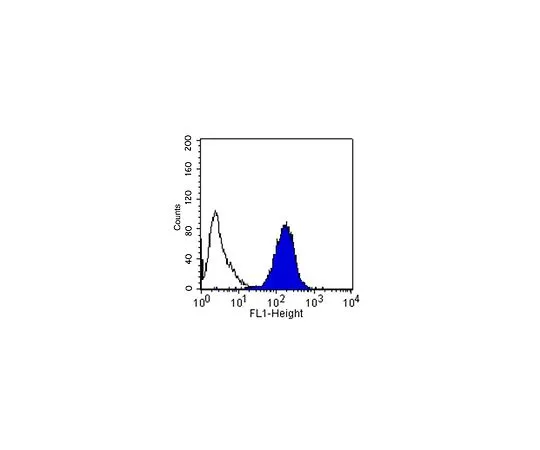 62-8492-59　［Discontinued］Anti-Integrin alpha5beta1, clone JBS5; 100 μL　MAB1969