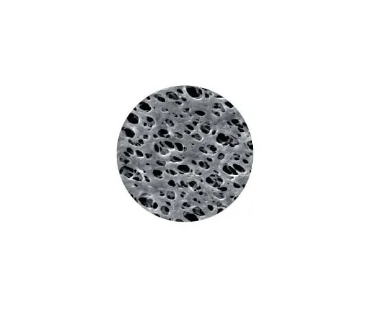 64-3317-45　Membrane Disk Diameter Φ13 mm NY 0.22 μm 1 Box (100 Pieces)　1213766