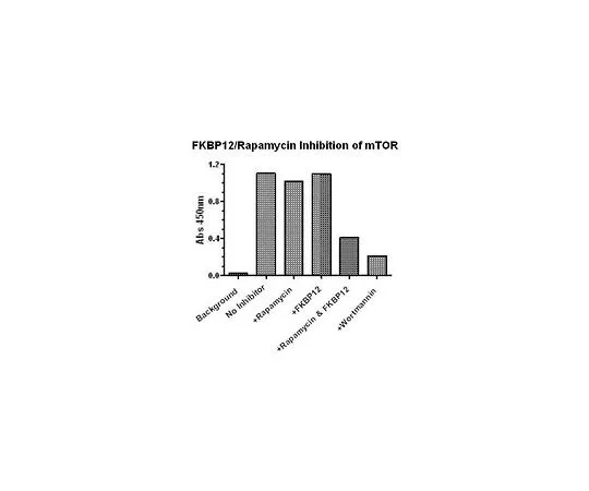62-8417-86　［Discontinued］FKBP12, GST-Fusion, Human, Recombinant, E. coli　325902-60UG