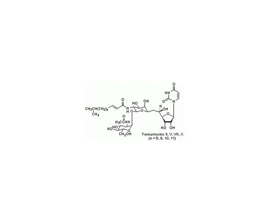 62-8442-34　［Discontinued］Tunicamycin, Streptomyces lysosuperficus　654380-10MG