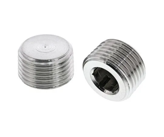 63-7473-99　Legris Stainless Steel Hexagon Plug 1/2in R(T) Male　0285 21 00