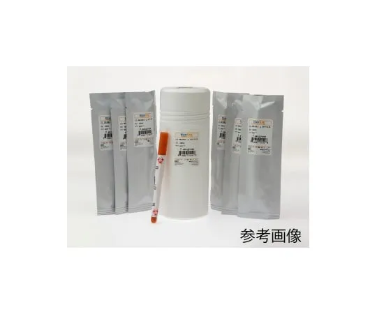 62-3859-66　［Discontinued］Type strain (KWIK-STIK) 12978 (TM) Geobacillus stearothermophilus　0137K