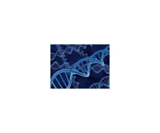 62-8400-47　［Discontinued］pET Expression System 11　69405-3