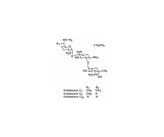 62-8419-77　［Discontinued］Gentamycin Sulfate　345814-1GM