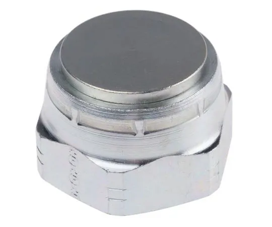 63-7410-64　G 1 Steel Hydraulic Blanking Cap, 210 bar Max Operating Pressure　16FNMK4S