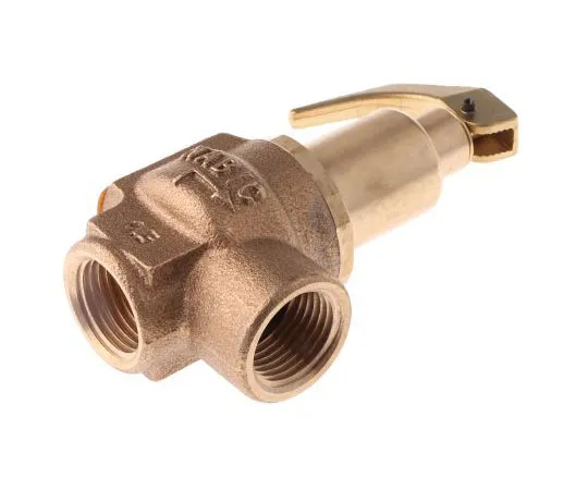 63-7519-95　Nabic Valve Safety Products 4bar Pressure Relief Valve With Female BSP 1/2 in BSP Female Connection and a BSP 1/2　N-542-015 4 BAR