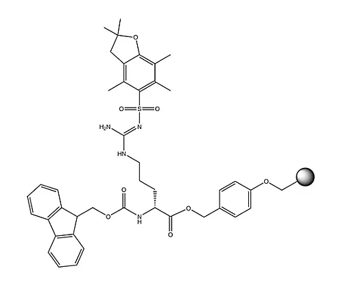 61-0405-19　［Discontinued］Fmoc-D-Arg(Pbf)-Wang Resin (100-200 Mesh) 856164 1G　8561640001