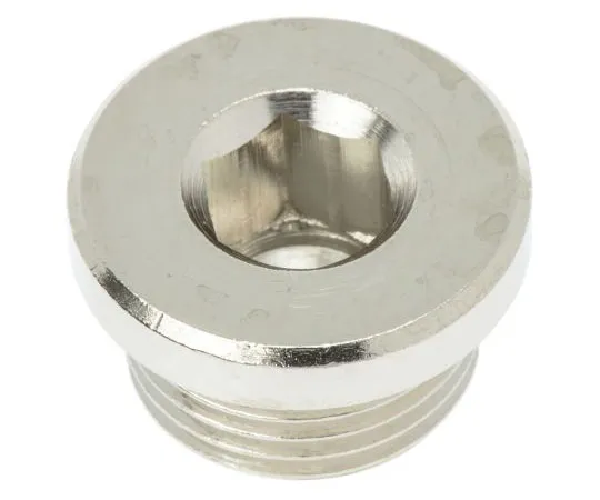 63-7510-95　Legris Brass G 3/8 Corrosion Resistant Plug　0900 00 13