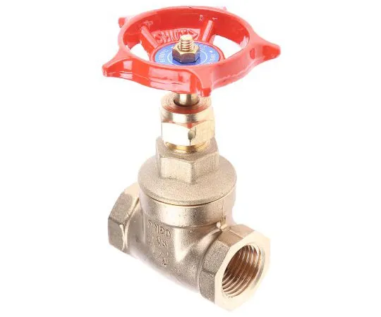 63-7455-50　Legris Gate Valve, 1/2in　261-0299