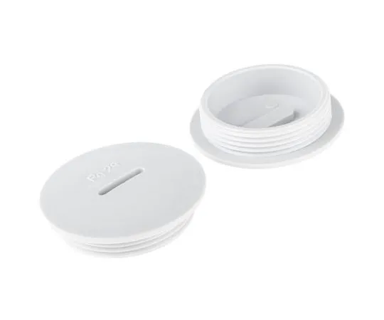 63-7444-49　Lapp PG29 Plug, PS, Threaded, IP54　52006000