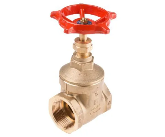 63-7455-54　Legris Gate Valve, 1-1/2in　261-0340