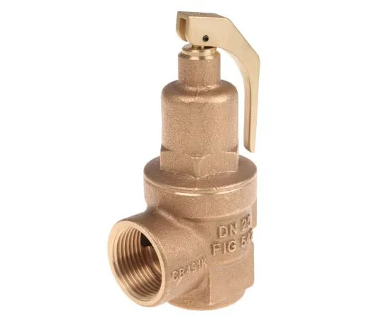 63-7519-98　Nabic Valve Safety Products 5bar Pressure Relief Valve With Female BSP 1 in BSP Female Connection and a BSP 1 Exhaust　N-542-025 5 BAR