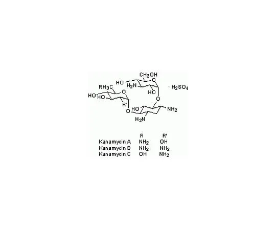 62-8425-82　［Discontinued］Kanamycin Sulfate, Streptomyces kanamyceticus　420311-25GM