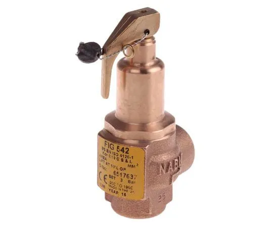 63-7519-89　Nabic Valve Safety Products 3bar Pressure Relief Valve With Female BSP 1/2 in BSP Female Connection and a BSP 1/2　N-542-015 3 BAR