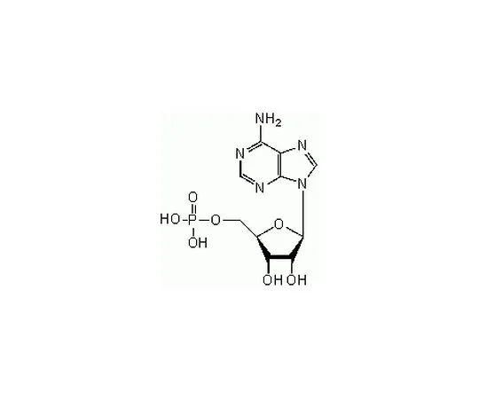 62-8406-24　［Discontinued］Adensoine 5'-Monophosphate, Disodium Salt (1.01428)　118110-5GM