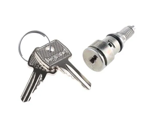 63-7595-61　Legrand Key Barrel for *** with Atlantic Enclosure, Marina Enclosure　0 368 25