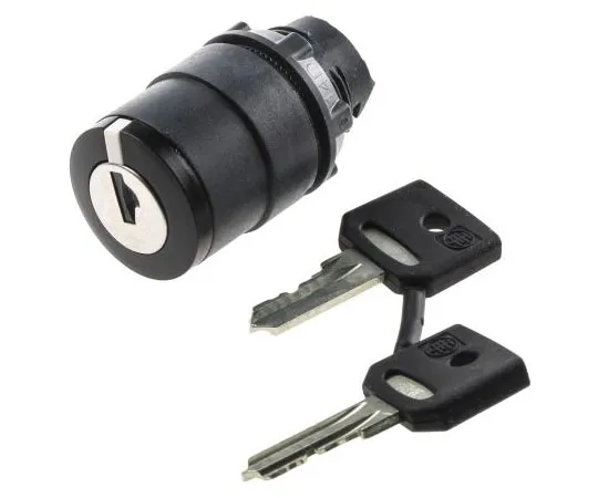 63-7632-05　Schneider Electric Harmony XB5 2 Position Key Switch Head Latching　ZB5AG212