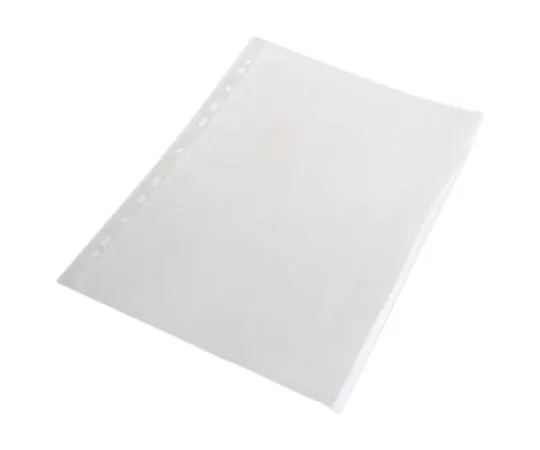 63-7602-19　Esselte A4 Transparent Plastic Pocket　56171