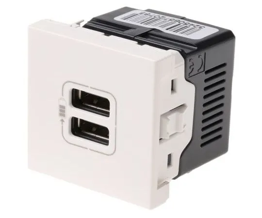 63-8021-53　Legrand White 1 Gang USB Socket, 2.4A, USB　5 720 78