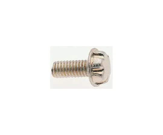 63-8339-97　Plain Flange Button Stainless Steel Tamper Proof Security Screw, M5 x 25mm　0A-M05-G0-25-04