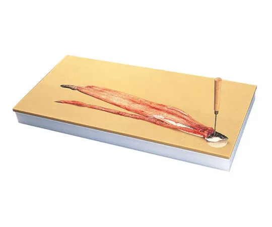 62-6429-84　［Discontinued］Plastic Cutting Board for Fresh Fish　4
